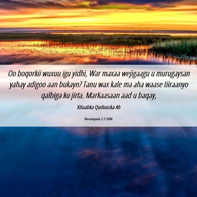 Picture 06 - Nexemyaah 2:2 SOM - Oo boqorkii wuxuu igu yidhi, War maxaa wejigaagu - Bible Verse Picture