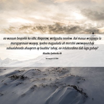Picture 06 - Nexemyaah 2:3 SOM - oo waxaan boqorkii ku idhi, Boqorow, weligaaba - Bible Verse Picture