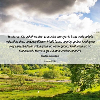 Picture 06 - Nexemyaah 3:1 SOM - Markaasaa Eliyaashiib oo ahaa wadaadkii sare ayaa - Bible Verse Picture