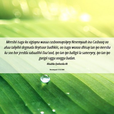 Picture 06 - Nexemyaah 3:16 SOM - Meeshii isaga ku xigtayna waxaa cusboonaysiiyey - Bible Verse Picture