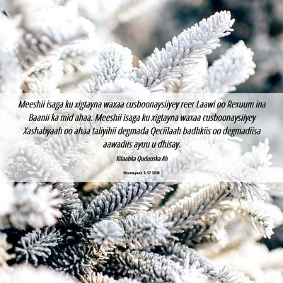 Picture 06 - Nexemyaah 3:17 SOM - Meeshii isaga ku xigtayna waxaa cusboonaysiiyey - Bible Verse Picture
