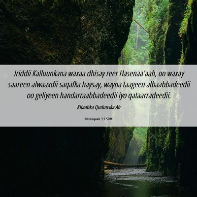 Picture 06 - Nexemyaah 3:3 SOM - Iriddii Kalluunkana waxaa dhisay reer - Bible Verse Picture
