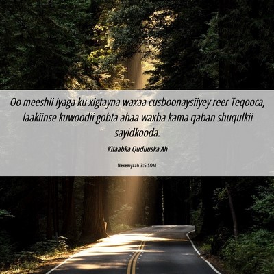 Picture 06 - Nexemyaah 3:5 SOM - Oo meeshii iyaga ku xigtayna waxaa - Bible Verse Picture