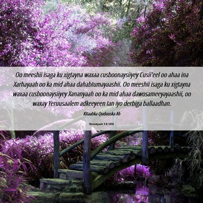 Picture 06 - Nexemyaah 3:8 SOM - Oo meeshii isaga ku xigtayna waxaa - Bible Verse Picture