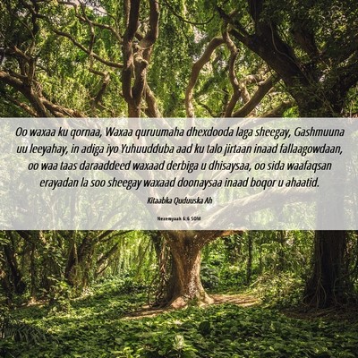 Picture 06 - Nexemyaah 6:6 SOM - Oo waxaa ku qornaa, Waxaa quruumaha dhexdooda - Bible Verse Picture