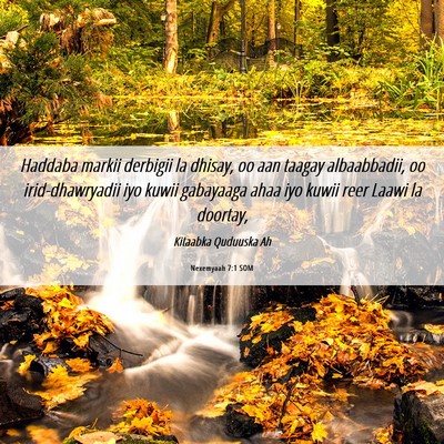 Picture 06 - Nexemyaah 7:1 SOM - Haddaba markii derbigii la dhisay, oo aan taagay - Bible Verse Picture