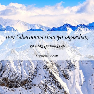 Picture 06 - Nexemyaah 7:25 SOM - reer Gibecoonna shan iyo - Bible Verse Picture