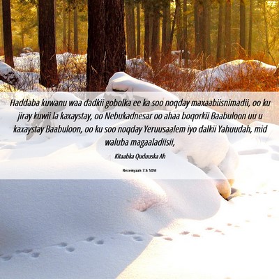 Picture 06 - Nexemyaah 7:6 SOM - Haddaba kuwanu waa dadkii gobolka ee ka soo - Bible Verse Picture