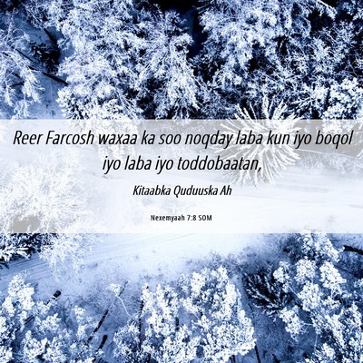 Picture 06 - Nexemyaah 7:8 SOM - Reer Farcosh waxaa ka soo noqday laba kun iyo - Bible Verse Picture