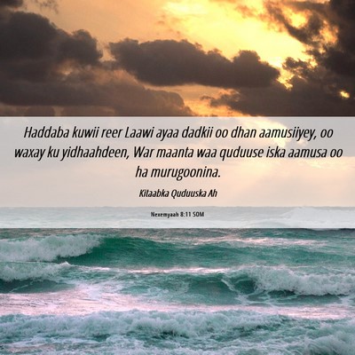 Picture 06 - Nexemyaah 8:11 SOM - Haddaba kuwii reer Laawi ayaa dadkii oo dhan - Bible Verse Picture