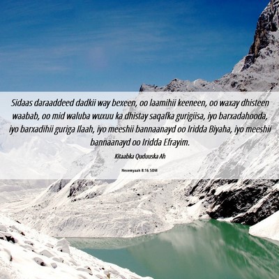 Picture 06 - Nexemyaah 8:16 SOM - Sidaas daraaddeed dadkii way bexeen, oo laamihii - Bible Verse Picture
