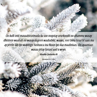 Picture 06 - Nexemyaah 8:17 SOM - Oo kulli intii maxaabiisnimada ka soo noqotay - Bible Verse Picture