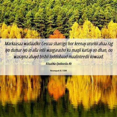 Picture 06 - Nexemyaah 8:2 SOM - Markaasaa wadaadkii Cesraa sharcigii hor keenay - Bible Verse Picture