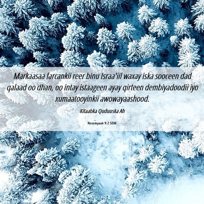 Picture 06 - Nexemyaah 9:2 SOM - Markaasaa farcankii reer binu Israa'iil waxay - Bible Verse Picture