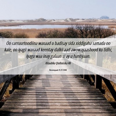 Picture 06 - Nexemyaah 9:23 SOM - Oo carruurtoodiina waxaad u badisay sida - Bible Verse Picture