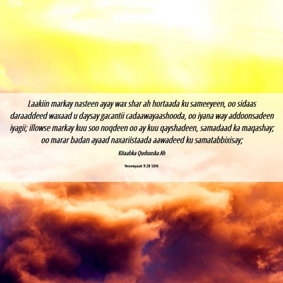 Picture 06 - Nexemyaah 9:28 SOM - Laakiin markay nasteen ayay wax shar ah hortaada - Bible Verse Picture