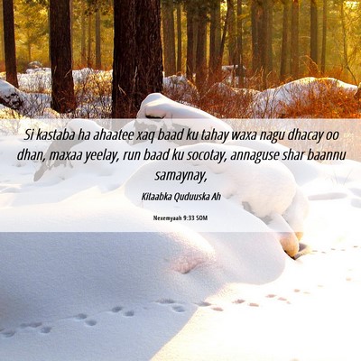 Picture 06 - Nexemyaah 9:33 SOM - Si kastaba ha ahaatee xaq baad ku tahay waxa nagu - Bible Verse Picture