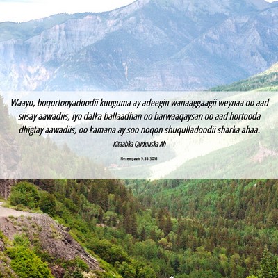 Picture 06 - Nexemyaah 9:35 SOM - Waayo, boqortooyadoodii kuuguma ay adeegin - Bible Verse Picture