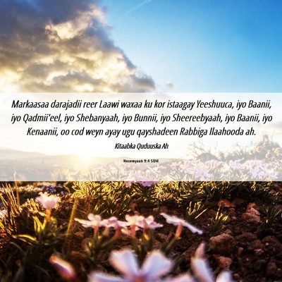Picture 06 - Nexemyaah 9:4 SOM - Markaasaa darajadii reer Laawi waxaa ku kor - Bible Verse Picture