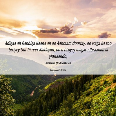 Picture 06 - Nexemyaah 9:7 SOM - Adigaa ah Rabbiga Ilaaha ah oo Aabraam doortay, - Bible Verse Picture