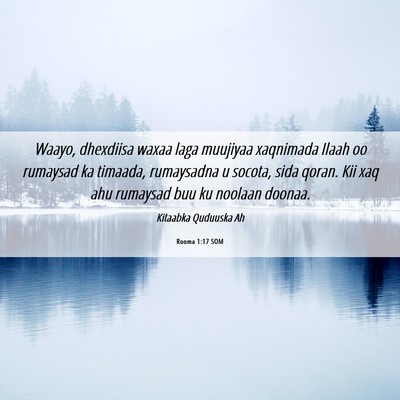 Picture 06 - Rooma 1:17 SOM - Waayo, dhexdiisa waxaa laga muujiyaa xaqnimada - Bible Verse Picture