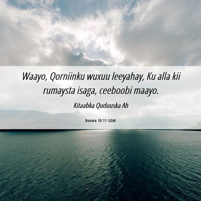 Picture 06 - Rooma 10:11 SOM - Waayo, Qorniinku wuxuu leeyahay, Ku alla kii - Bible Verse Picture