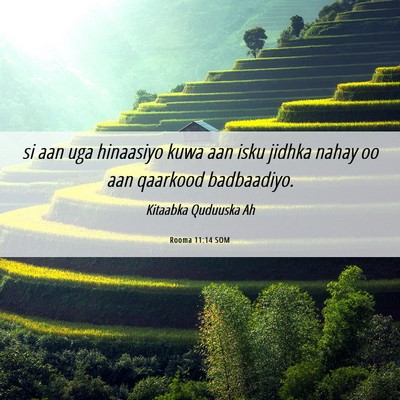 Picture 06 - Rooma 11:14 SOM - si aan uga hinaasiyo kuwa aan isku jidhka nahay - Bible Verse Picture