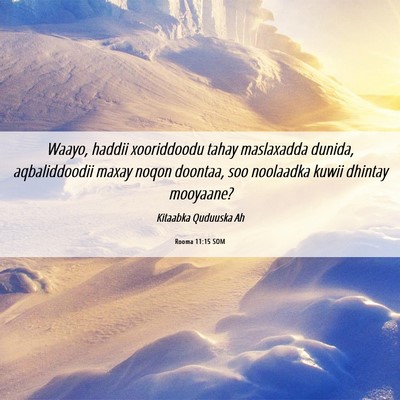 Picture 06 - Rooma 11:15 SOM - Waayo, haddii xooriddoodu tahay maslaxadda - Bible Verse Picture