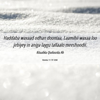 Picture 06 - Rooma 11:19 SOM - Haddaba waxaad odhan doontaa, Laamihii waxaa loo - Bible Verse Picture