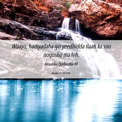 Picture 06 - Rooma 11:29 SOM - Waayo, hadiyadaha iyo yeedhidda Ilaah ka soo - Bible Verse Picture
