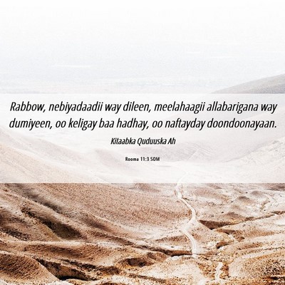 Picture 06 - Rooma 11:3 SOM - Rabbow, nebiyadaadii way dileen, meelahaagii - Bible Verse Picture