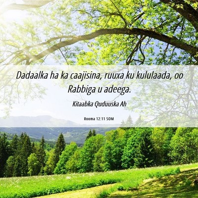 Picture 06 - Rooma 12:11 SOM - Dadaalka ha ka caajisina, ruuxa ku kululaada, oo - Bible Verse Picture