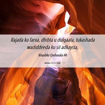 Picture 06 - Rooma 12:12 SOM - Rajada ku farxa, dhibta u dulqaata, tukashada - Bible Verse Picture