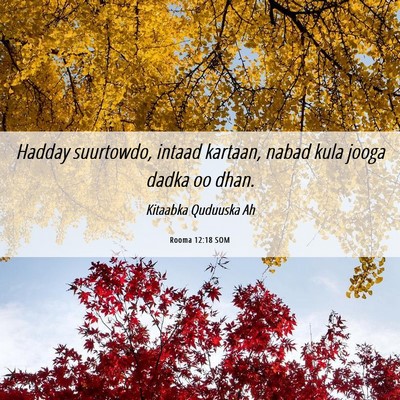 Picture 06 - Rooma 12:18 SOM - Hadday suurtowdo, intaad kartaan, nabad kula - Bible Verse Picture