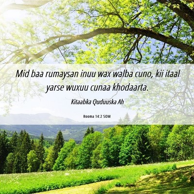 Picture 06 - Rooma 14:2 SOM - Mid baa rumaysan inuu wax walba cuno, kii itaal - Bible Verse Picture