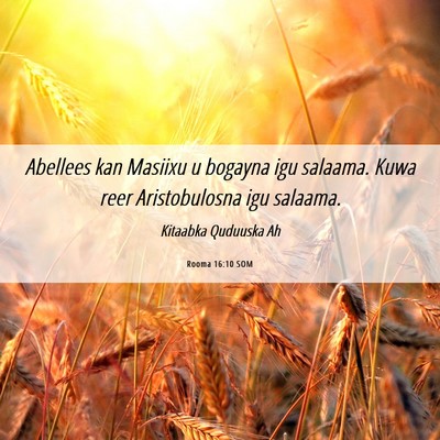 Picture 06 - Rooma 16:10 SOM - Abellees kan Masiixu u bogayna igu salaama. Kuwa - Bible Verse Picture