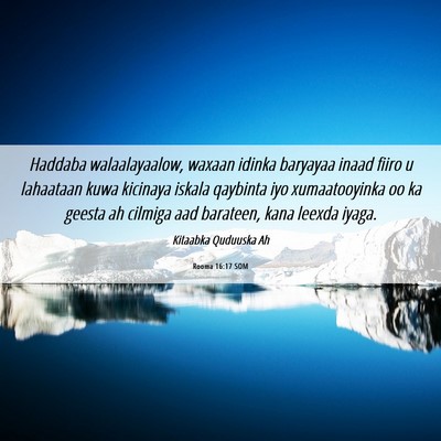 Picture 06 - Rooma 16:17 SOM - Haddaba walaalayaalow, waxaan idinka baryayaa - Bible Verse Picture