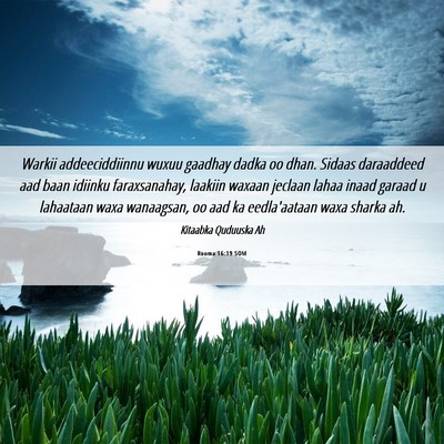 Picture 06 - Rooma 16:19 SOM - Warkii addeeciddiinnu wuxuu gaadhay dadka oo - Bible Verse Picture