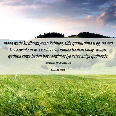 Picture 06 - Rooma 16:2 SOM - inaad iyada ku dhowaysaan Rabbiga, sida - Bible Verse Picture