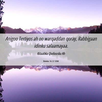 Picture 06 - Rooma 16:22 SOM - Anigoo Tertiyos ah oo warqaddan qoray, Rabbigaan - Bible Verse Picture