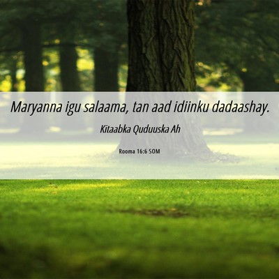 Picture 06 - Rooma 16:6 SOM - Maryanna igu salaama, tan aad idiinku - Bible Verse Picture