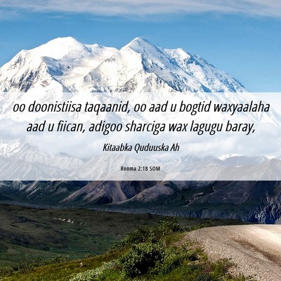 Picture 06 - Rooma 2:18 SOM - oo doonistiisa taqaanid, oo aad u bogtid - Bible Verse Picture