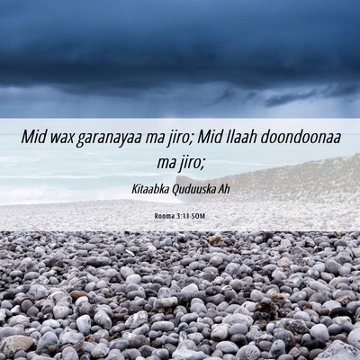 Picture 06 - Rooma 3:11 SOM - Mid wax garanayaa ma jiro; Mid Ilaah doondoonaa - Bible Verse Picture