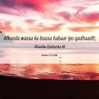 Picture 06 - Rooma 3:14 SOM - Afkooda waxaa ka buuxa habaar iyo - Bible Verse Picture