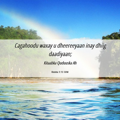 Picture 06 - Rooma 3:15 SOM - Cagahoodu waxay u dheereeyaan inay dhiig - Bible Verse Picture