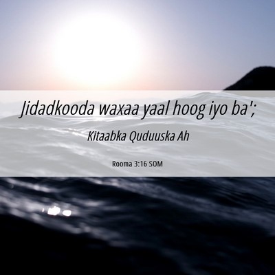 Picture 06 - Rooma 3:16 SOM - Jidadkooda waxaa yaal hoog iyo - Bible Verse Picture