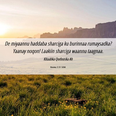 Picture 06 - Rooma 3:31 SOM - De miyaannu haddaba sharciga ku burinnaa - Bible Verse Picture