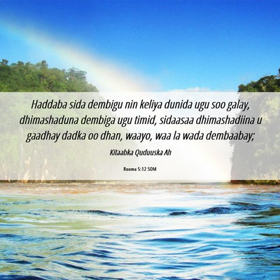 Picture 06 - Rooma 5:12 SOM - Haddaba sida dembigu nin keliya dunida ugu soo - Bible Verse Picture