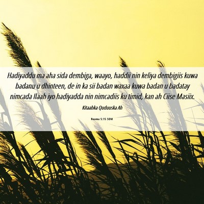 Picture 06 - Rooma 5:15 SOM - Hadiyaddu ma aha sida dembiga, waayo, haddii nin - Bible Verse Picture
