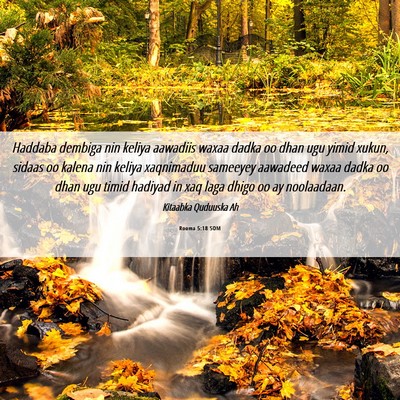 Picture 06 - Rooma 5:18 SOM - Haddaba dembiga nin keliya aawadiis waxaa dadka - Bible Verse Picture